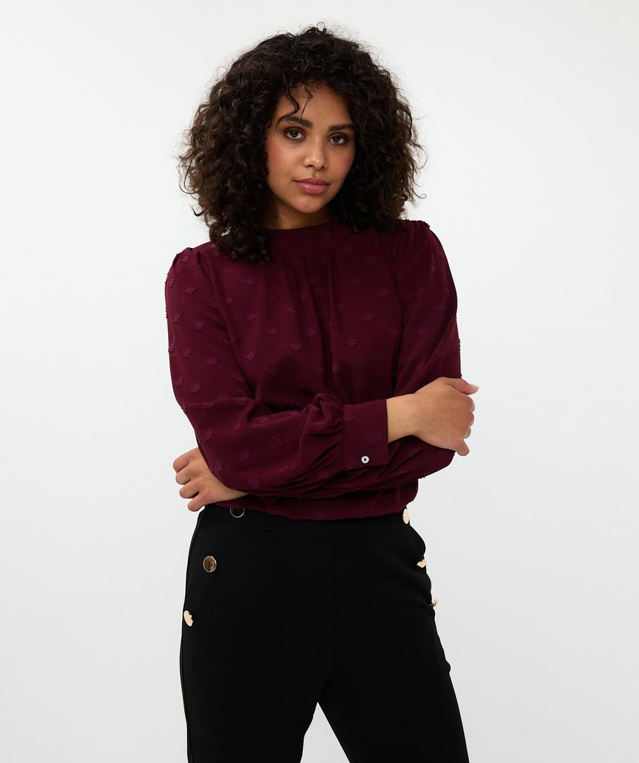 Blouse high collar plumetis